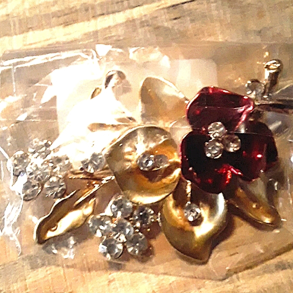 NWT Buckle brooch